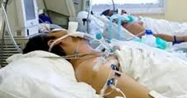 Ceyranbatanda toyda dava Biri komadadır