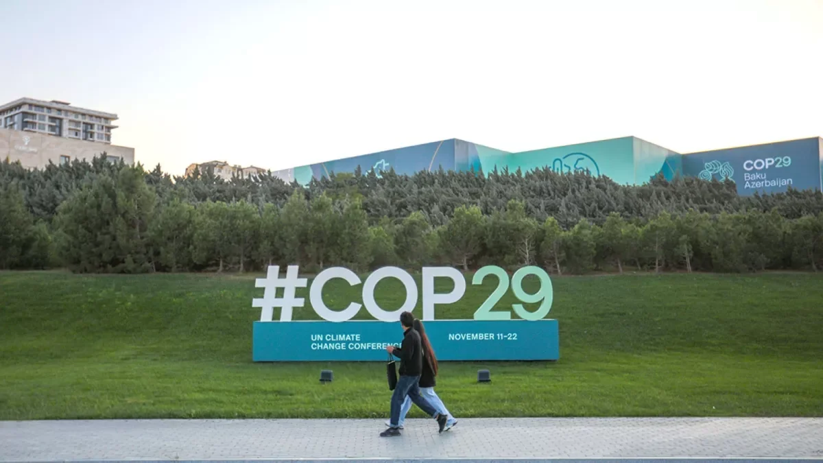 Хикмет Гаджиев поделился репортажем Euronews о подготовке к COP29