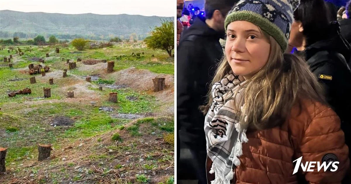 Экоцид в Карабахе, COP17 в Иреване и бойкоты Греты Тунберг: О том, как экологию превращают в инструмент политических игр Новости