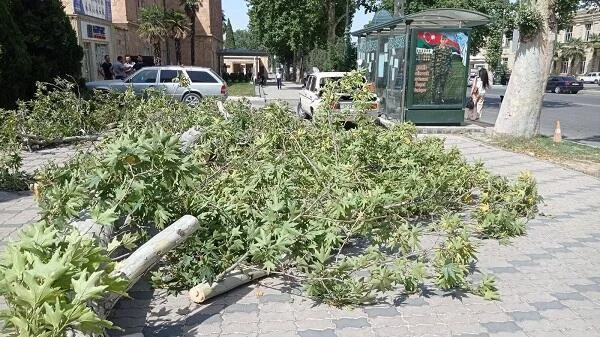 Güclü külək Zaqatalada fəsadlar törətdi