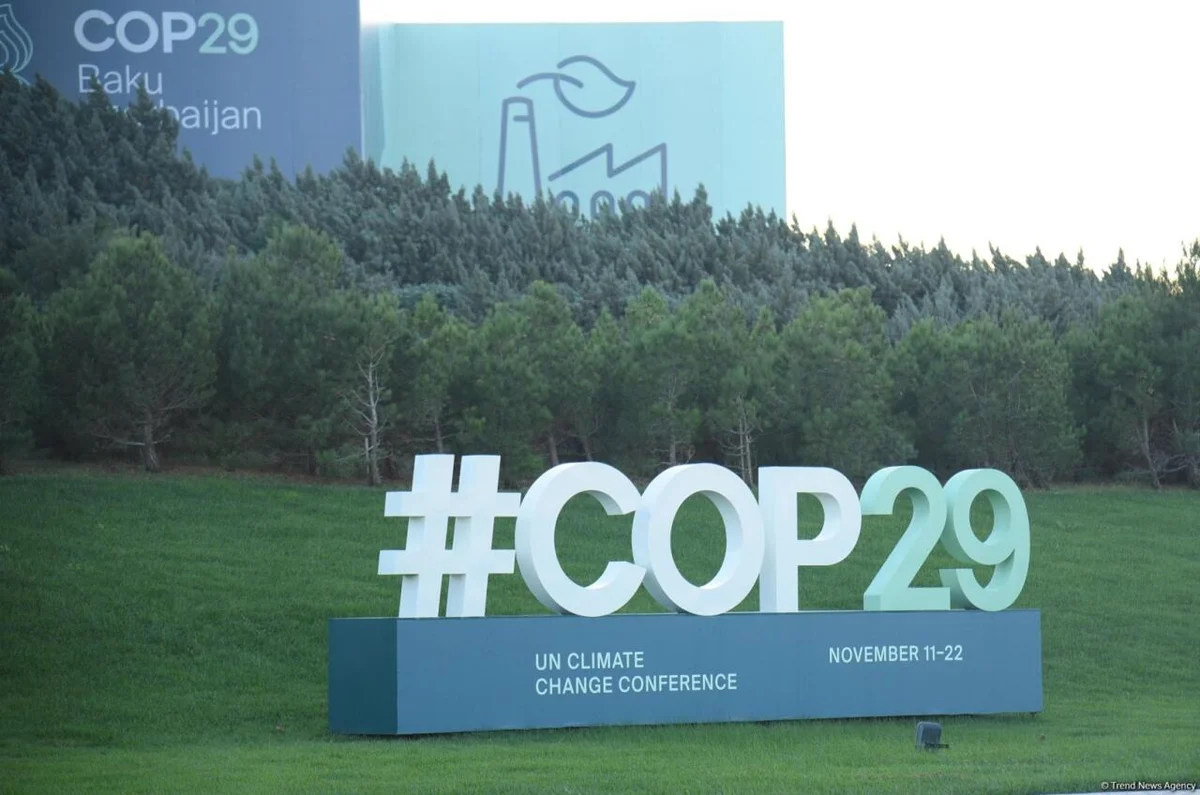 В Азербайджане обсудили действия финсектора в рамках COP29