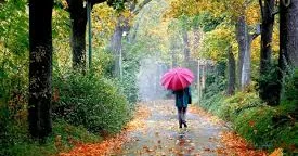 “Havanın soyuması əhval ruhiyyə və motivasiyaya birbaşa təsir göstərir” PSİXOLOQ ŞƏRH ETDİ