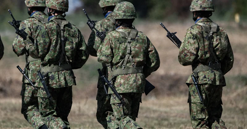 Yaponiyada ilginc əməliyyat: ayıya görə səfərbər oldular