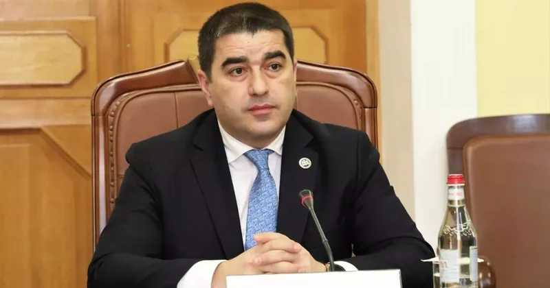 Папуашвили: Брюссель поддерживает радикалов