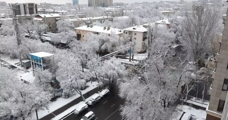 Первый снег в Алматы стал причиной массовых аварий
