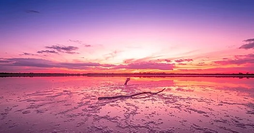 Avstraliyanın çəhrayı gölləri necə yaranıb?