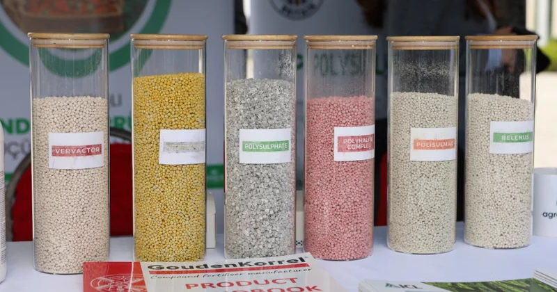 Saatlıda Aqrar Biznes və “Pambıq” festivalları ixracyönümlü istehsal təşviq olunur