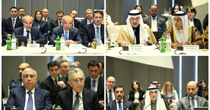 Азербайджан и Арабская координационная группа обсудили перспективы совместных инвестиций