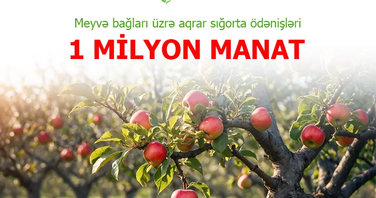Meyvə bağları üzrə aqrar sığorta ödənişləri 1 milyon manata çatıb