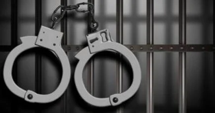 В Грузии в ходе операции против воровского мира убит вооруженный азербайджанец