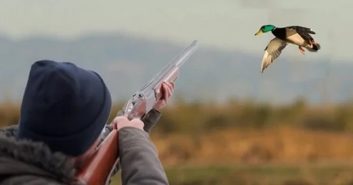 Отец и сын задержаны в Зардабе за незаконную охоту на краснокнижных птиц