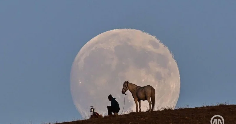 Жители земли увидели "Бобровую" Луну ФОТО