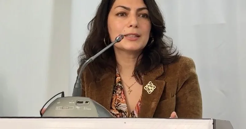 Xaricdən gələn ətlərin RİSK faktorları Məhsəti Hüseynova AÇIQLADI