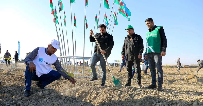 Naxçıvanda genişmiqyaslı ağacəkmə aksiyası keçirilib