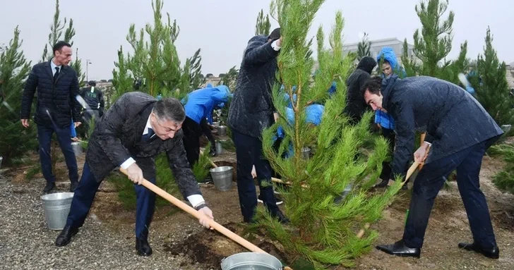 В Баку прошла акция по посадке деревьев в честь 5 летия Дня Победы