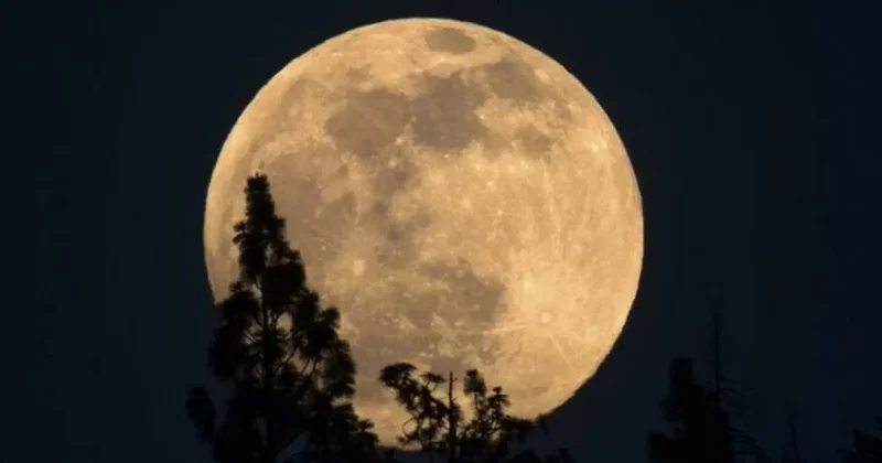 Жители Земли увидят последнюю суперлуну 2025 года