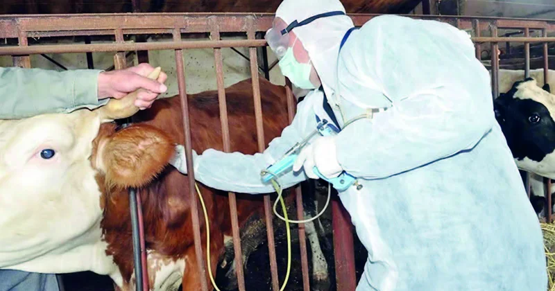 Maldarlar ciddi sınaqla üz üzə