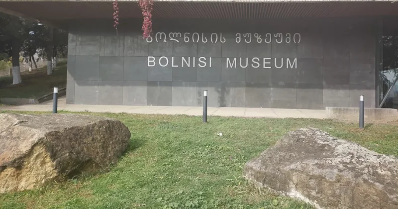 В Грузии открылась персональная выставка Народного художника Азербайджана ФОТО