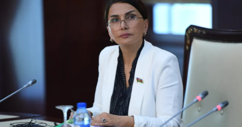 Prezident İlham Əliyevinin AMEA dakı çıxışı Azərbaycan elminin yeni dövrə qədəm qoyduğunu göstərir ŞƏRH