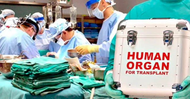 SN nin canlı yayımında orqan donorluğu və transplantasiyasından danışılacaq