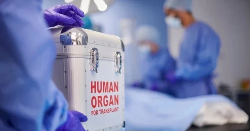 Донорство спасает жизни Специалист Минздрава о деликатной теме