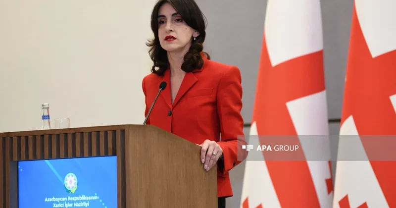 Boçorişvili: Aİ qapılarını açanda Gürcüstan üzvlüyə ən hazırlıqlı namizəd ölkə olacaq