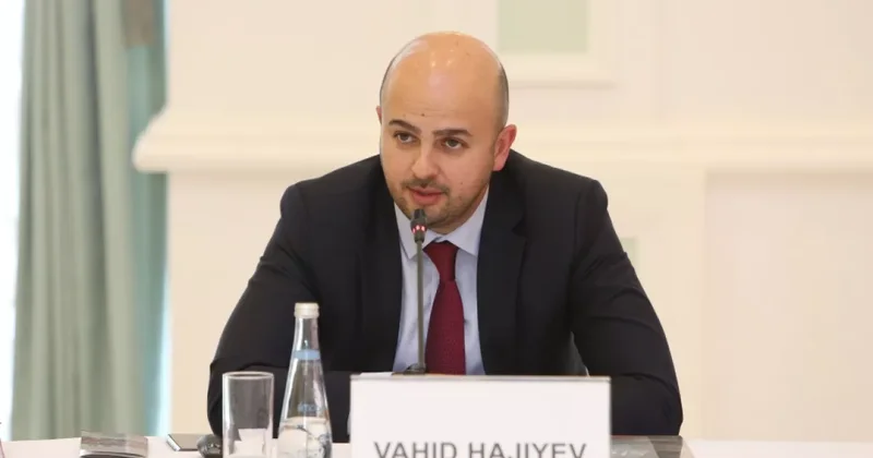 Вахид Гаджиев о строительных работах в Зангилане, Губадлы и Джебраиле