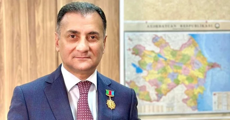 Dövləti quduz köpəklərdən qorumağa cəsarəti çatmayanlar... Mir Şahin