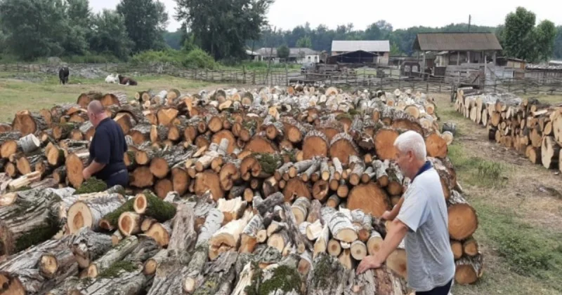 Odun satışı üzrə hərrac keçiriləcək