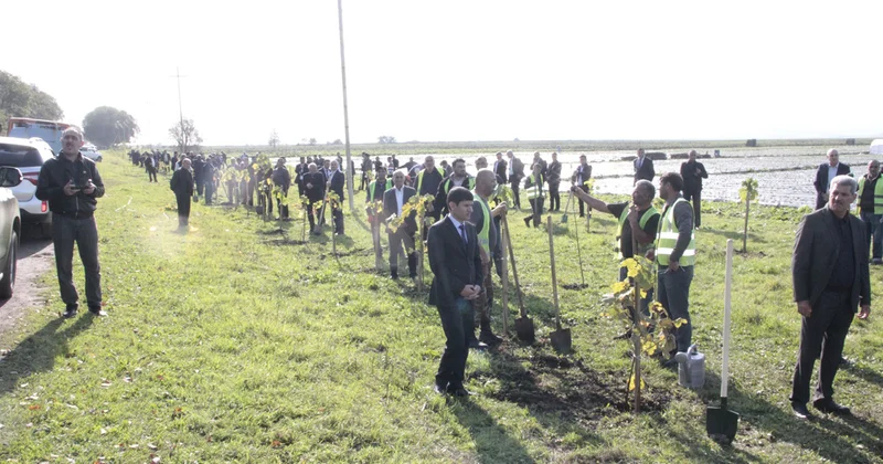 Cəlilabadda 8 noyabr ilə əlaqədar ağacəkmə aksiyası keçirilib Fotolar