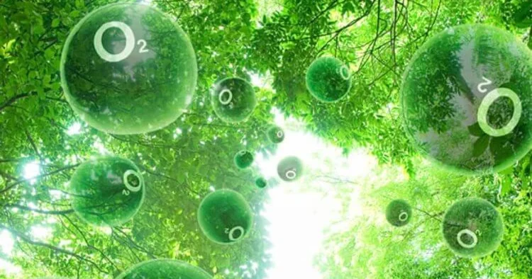 В Кембридже разработали безопасный искусственный фотосинтез