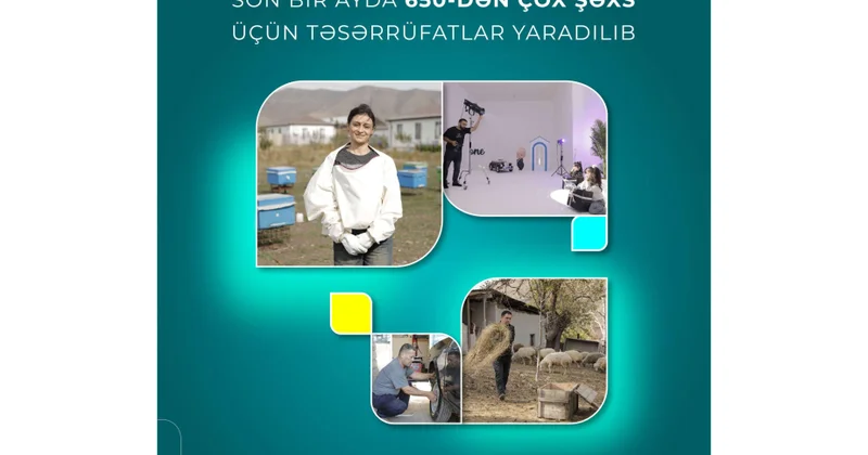 Özünüməşğulluq proqramı üzrə son bir ayda 650 dən çox şəxs üçün təsərrüfatlar yaradılıb