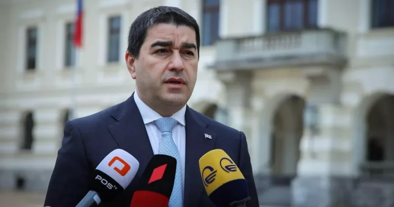 Тбилиси обвиняет Брюссель в отходе от европейских ценностей