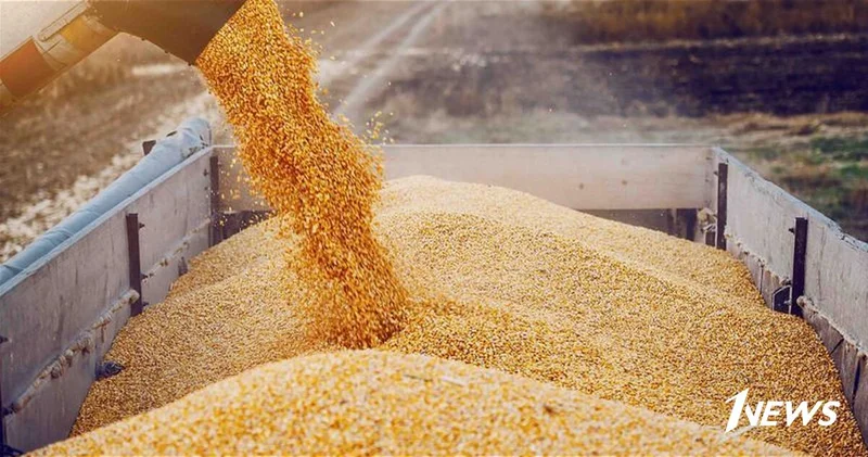 Зерна доверия: Мирные жесты Баку открывают для Армении исторический шанс