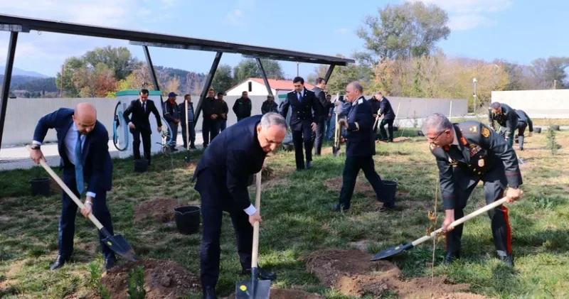 Baş prokurorun iştirakı ilə Zəngilanda ağacəkmə aksiyası keçirilib