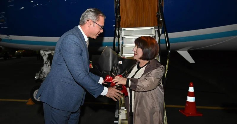 Спикер Милли Меджлиса прибыла в Бразилию для участия в COP30