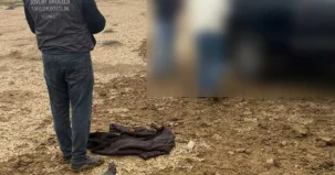 Dövlət Ekoloji Təhlükəsizlik Xidmətinin məlumatı