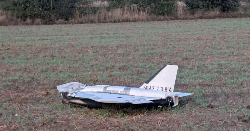 Polşa dronlara qarşı öz müdafiə sistemini yaradacaq