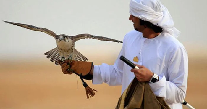 Hacıqabulda qanunsuz ov edən Suriya vətəndaşları saxlanılıb