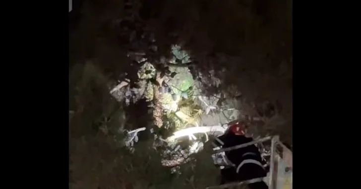 В Хачмазе спасли редкого Черного грифа