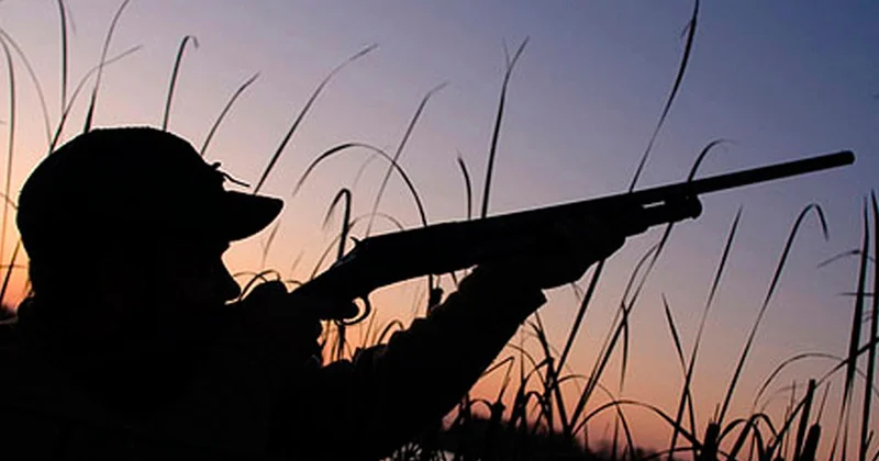 Azərbaycanda ov qaydalarını pozan əcnəbilər saxlanılıb