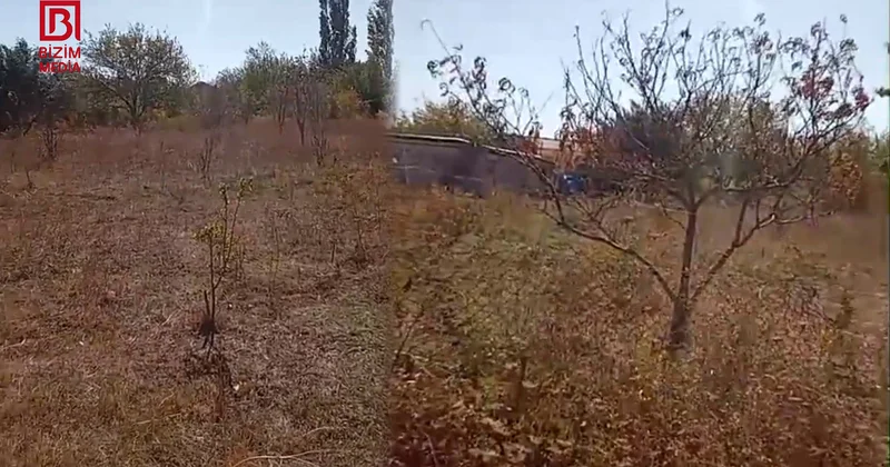 Tatarlı kəndində SU QITLIĞI davam edir 12 artezian quyusu inşa edilibsə, su niyə YOXDUR?