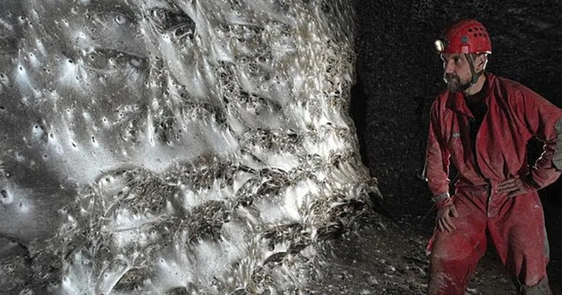 Dünyada ən böyük hörümçək toru