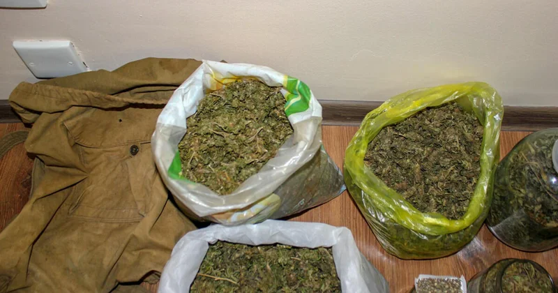 Названо число предотвращённых попыток наркотрафика через Азербайджан за два года