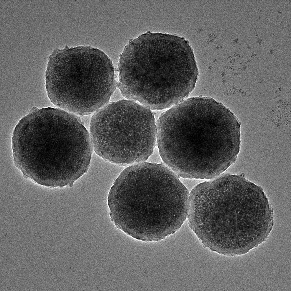 MAQNİT NANOROBOTLAR XƏRÇƏNG ŞİŞLƏRİNİ TƏMİZLƏYƏCƏK