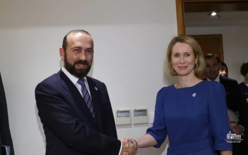 Mirzoyan Aİnin ali nümayəndəsi ilə Azərbaycanla sülhü müzakirə etdi