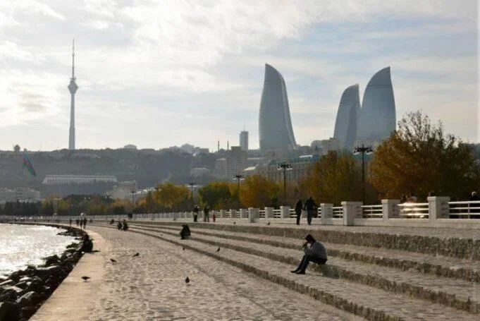 Bakının mərkəzində yırtıcı canlı sakinlər təlaş içində ... FOTO