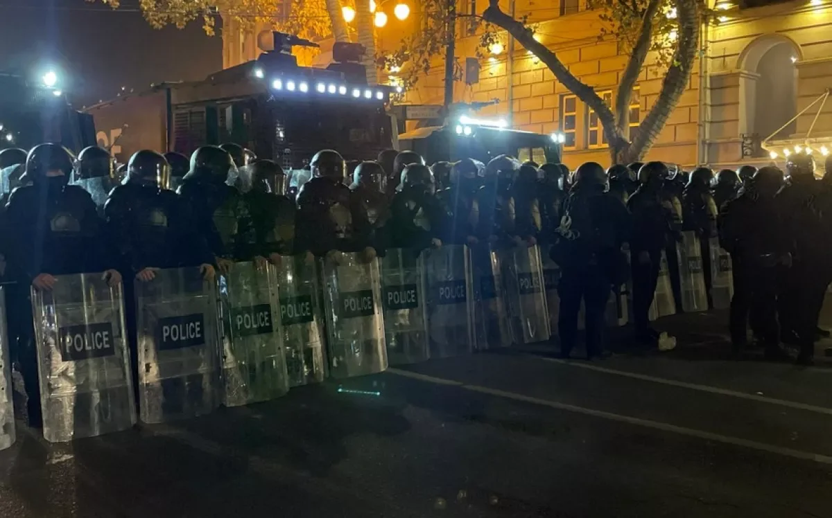 В Тбилиси митингующие обстреляли здание парламента пиротехникой