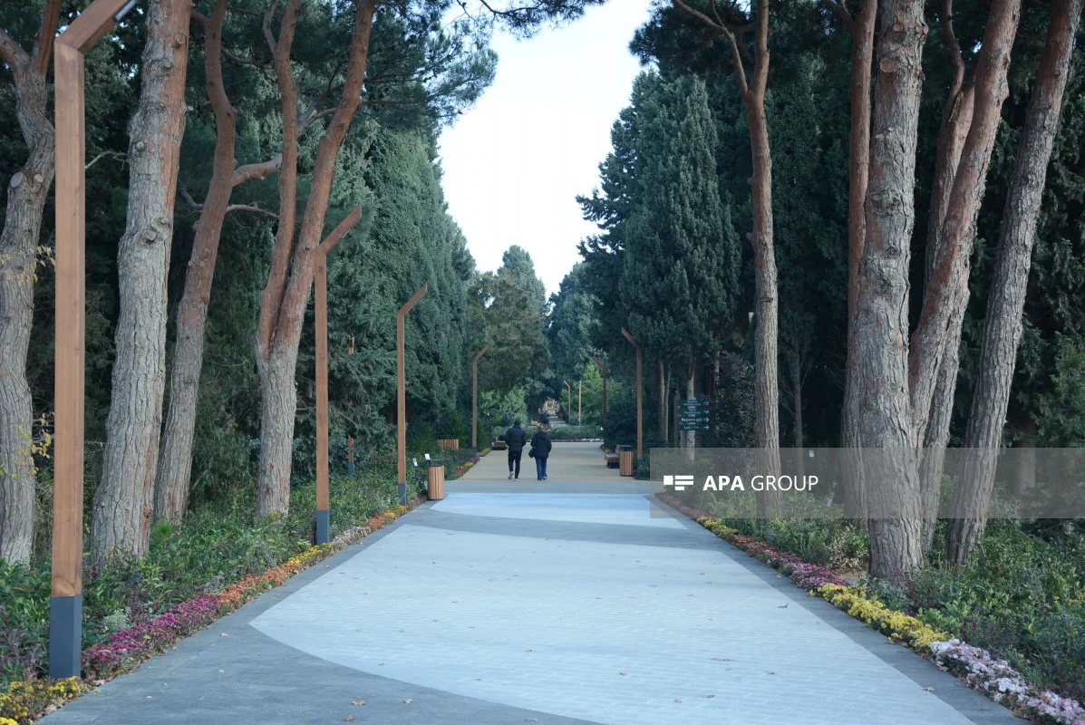 Mərkəzi Nəbatat Bağına İtaliyadan, Türkiyədən flora növləri gətirilib