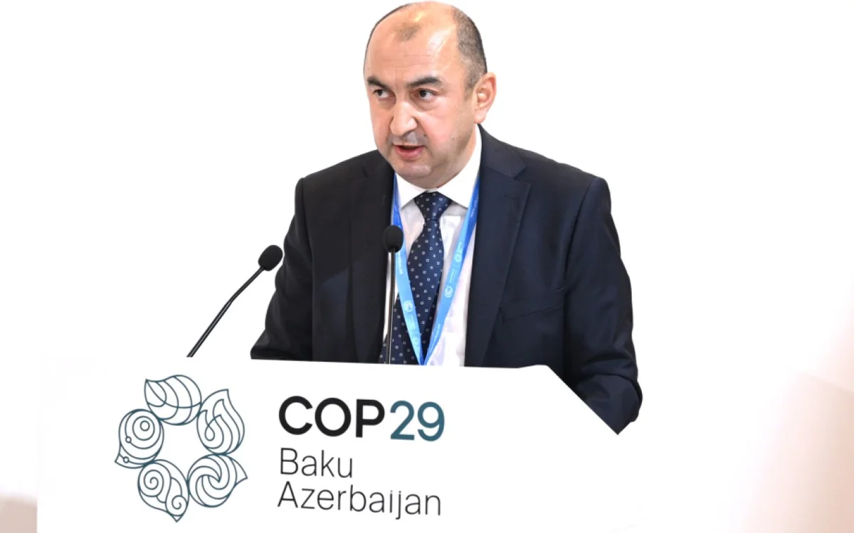 COP29da fəaliyyət göstərmək üçün 16 minə yaxın müraciət edilmişdi Nazir müavini